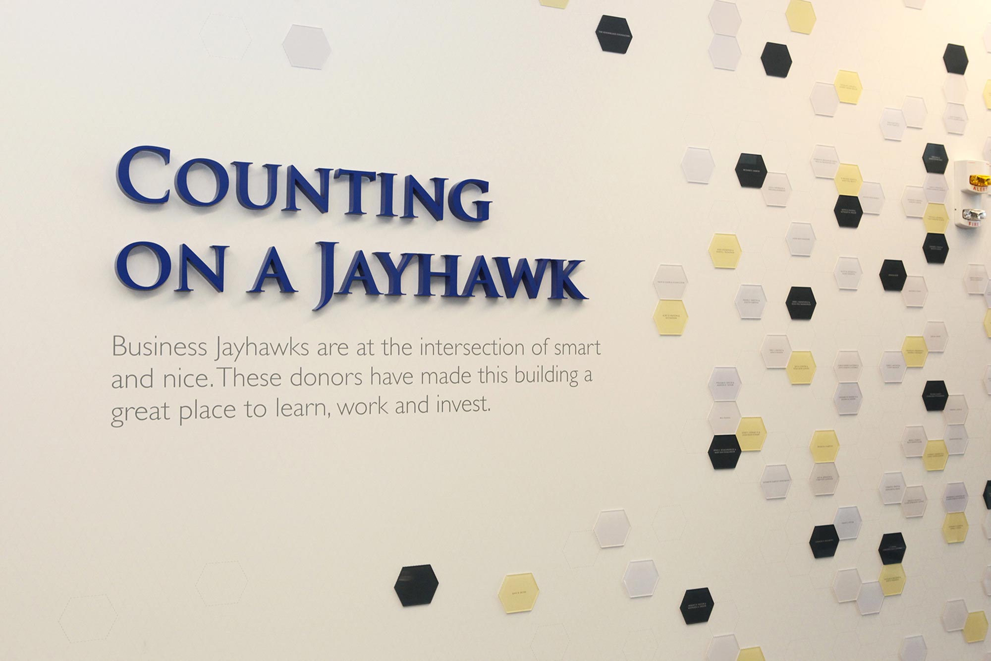 Counting on a Jayhawk